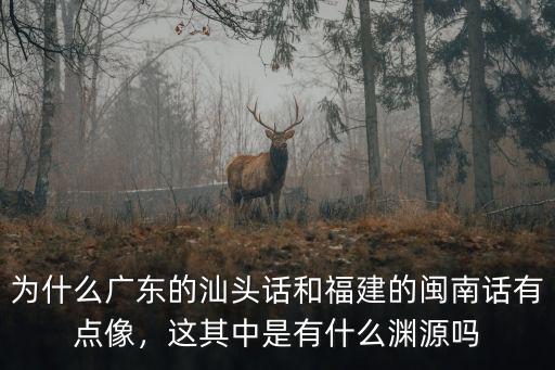 為什么廣東的汕頭話和福建的閩南話有點像，這其中是有什么淵源嗎