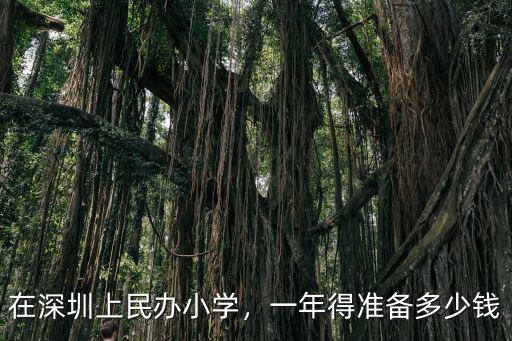 深圳上公立小學一年多少錢,在深圳上民辦小學