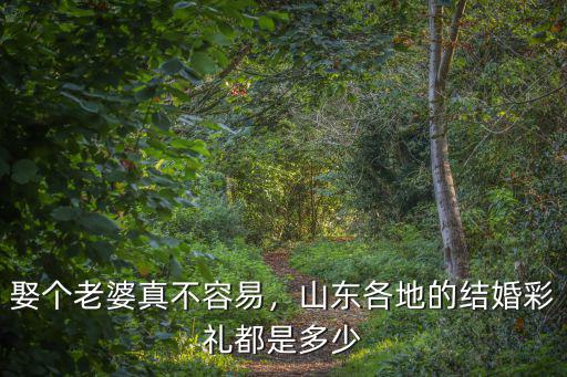 山東濟南市的結婚彩禮是多少錢,結婚必須要有樓有車嗎