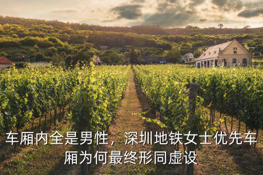 深圳地鐵上怎么看車廂,深圳地鐵試行女士優先車廂
