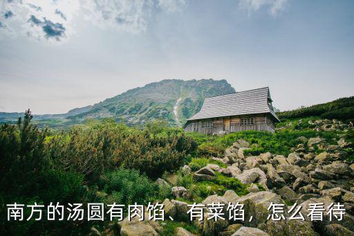 南方的湯圓有肉餡、有菜餡，怎么看待