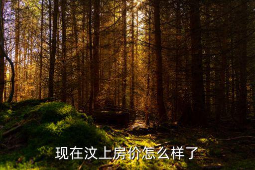 現(xiàn)在汶上房?jī)r(jià)怎么樣了