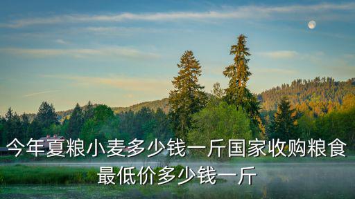 山東泰安小麥?zhǔn)召?gòu)價(jià)是多少錢,今年夏糧小麥多少錢一斤