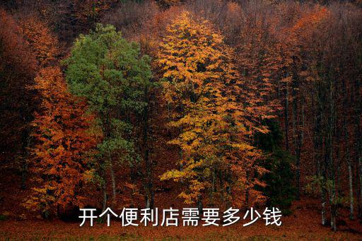 在泰安開個(gè)超市多少錢一個(gè)月,開個(gè)便利店需要多少錢