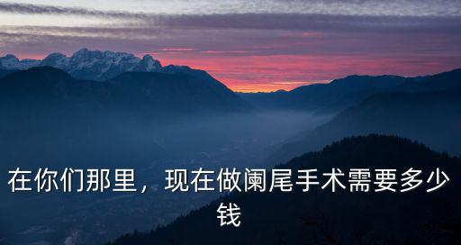 在你們那里，現在做闌尾手術需要多少錢