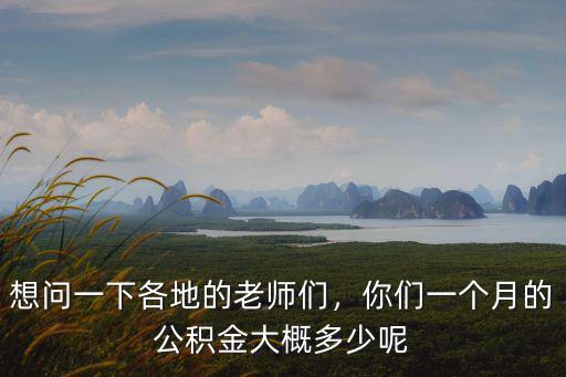 想問一下各地的老師們，你們一個月的公積金大概多少呢