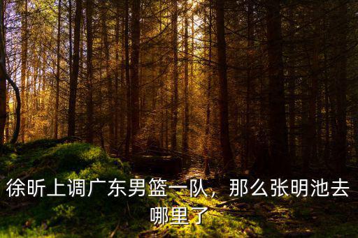 廣東隊員去哪里了,廣東宏遠隊的杜潤旺去哪里了