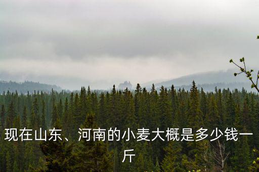 現(xiàn)在山東、河南的小麥大概是多少錢一斤