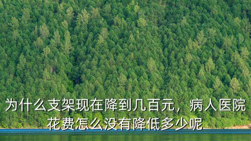 為什么支架現在降到幾百元，病人醫院花費怎么沒有降低多少呢