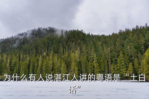 廣東湛江市哪里說粵語的,有人說廣東湛江很不廣東