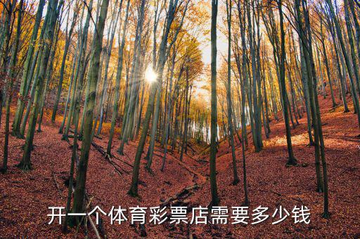 廣州市開間體彩店需要多少錢,開一家體彩店需要多少錢