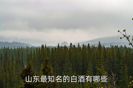 山東溫河酒廠到德州有多少公里,德州有那些白酒