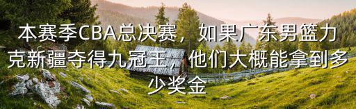 廣東總決賽獎金多少,CBA總冠軍的獎金有多少呢