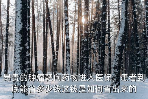 浙江出的靶向藥多少錢,一粒靶向藥多少錢