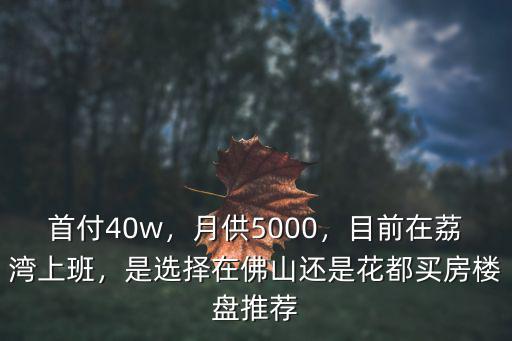 首付40w，月供5000，目前在荔灣上班，是選擇在佛山還是花都買房樓盤推薦