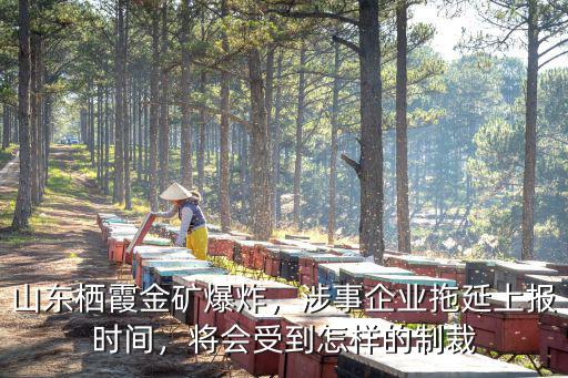 山東棲霞金礦爆炸，涉事企業拖延上報時間，將會受到怎樣的制裁