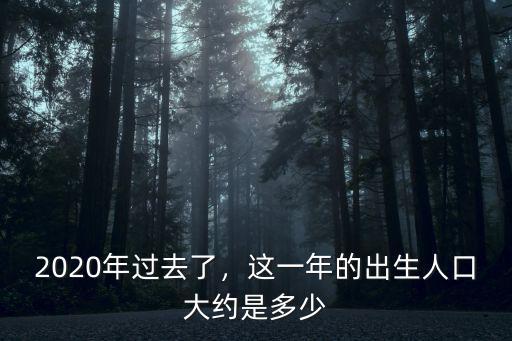 2015年寧波市出生人口多少,2020年過去了