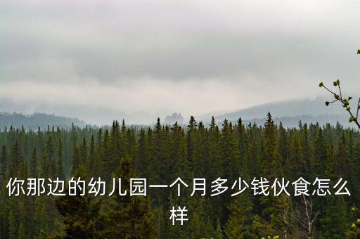 你那邊的幼兒園一個月多少錢伙食怎么樣