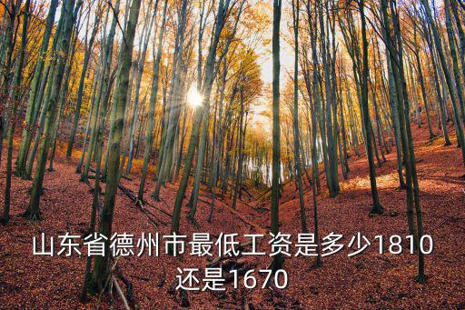 山東省德州市最低工資是多少錢,山東省德州市最低工資是多少