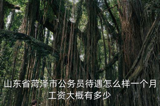 山東省菏澤市公務員待遇怎么樣一個月工資大概有多少