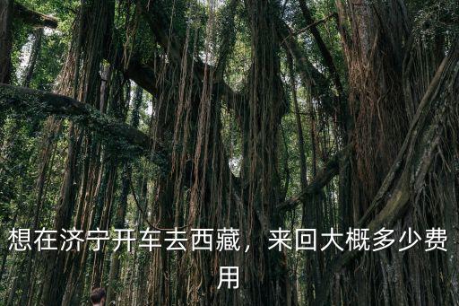 想在濟(jì)寧開車去西藏，來回大概多少費(fèi)用