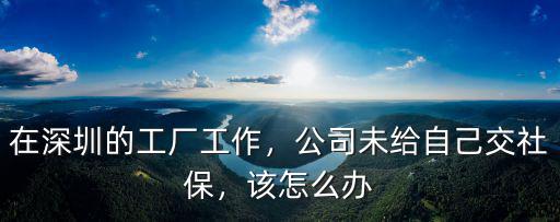 深圳公司未繳納社保怎么辦,公司未購買社保