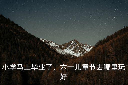 河源小學畢業去哪里,小學馬上畢業了