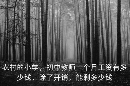 德州小學老師工資大概多少錢,初中教師一個月工資有多少錢