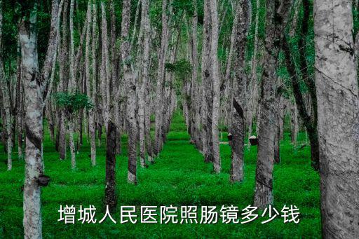 增城人民醫(yī)院照腸鏡多少錢