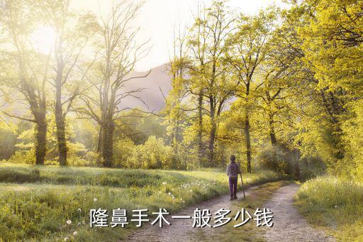 隆鼻手術(shù)一般多少錢