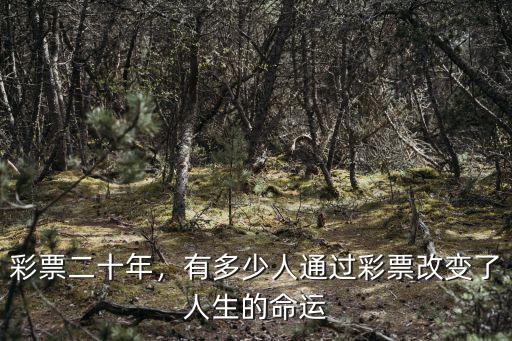 彩票二十年，有多少人通過彩票改變了人生的命運