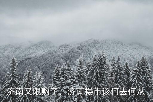 濟南又限購了，濟南樓市該何去何從