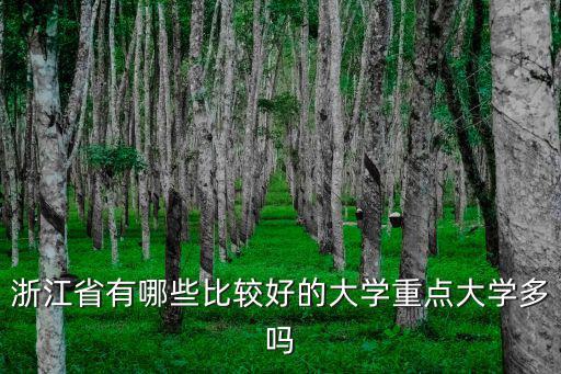 浙江省有哪些比較好的大學重點大學多嗎