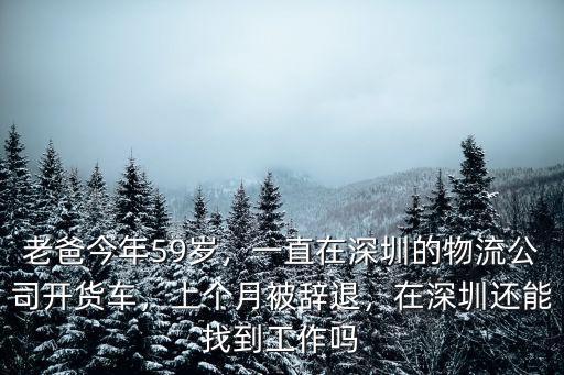 老爸今年59歲，一直在深圳的物流公司開貨車，上個月被辭退，在深圳還能找到工作嗎