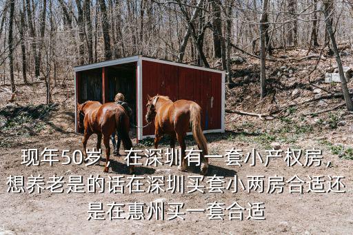 惠州小產(chǎn)權(quán)在哪里買,有人在惠州買小產(chǎn)權(quán)的嗎