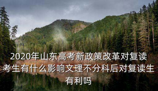 2020年山東高考復(fù)讀生有多少人,今年河南高考有20萬(wàn)復(fù)讀生