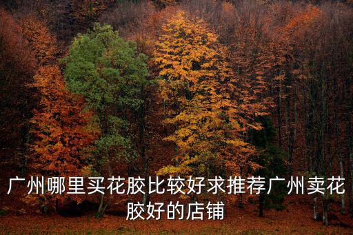 廣州花膠哪里有賣的,廣州哪里買花膠比較好