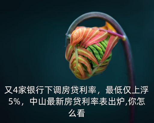 又4家銀行下調(diào)房貸利率，最低僅上浮5%，中山最新房貸利率表出爐,你怎么看