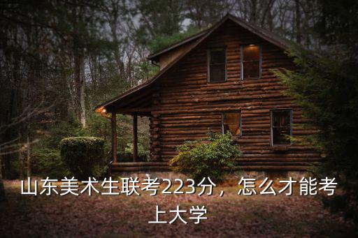 2020山東美術(shù)高考需要考多少分,山東美術(shù)生聯(lián)考223分