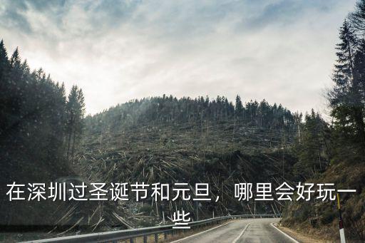 深圳哪里過圣誕節熱鬧,在深圳過圣誕節和元旦