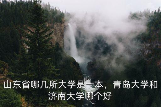 山東省哪幾所大學是一本，青島大學和濟南大學哪個好