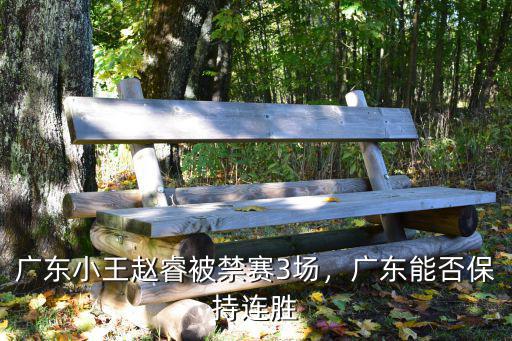 廣東趙睿罰款多少錢,廣東男籃趙睿被處罰