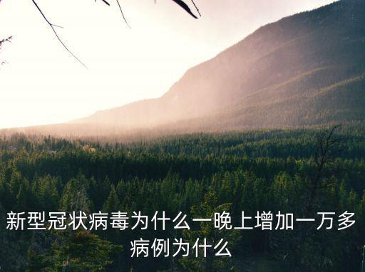 杭州市富陽區(qū)有多少冠狀病毒感染病例,有多少是煙民