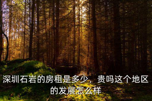深圳石巖哪里房子最便宜,深圳哪里的工廠比較多