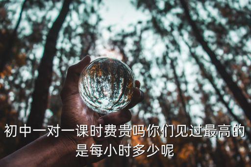 泰安一對一課時費多少錢,初中一對一課時費貴嗎