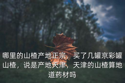 梅州哪里買到正宗山楂,買了幾罐京彩罐山楂