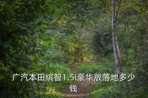 繽智豪華版2020款落地多少錢溫州市,繽智豪華版多少錢落地