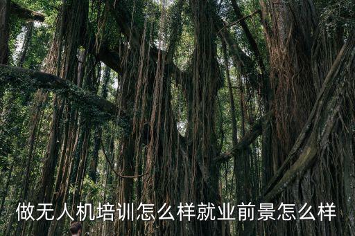 做無人機培訓(xùn)怎么樣就業(yè)前景怎么樣