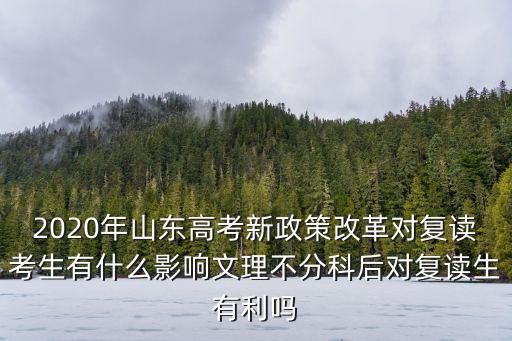 2020年山東高考新政策改革對復(fù)讀考生有什么影響文理不分科后對復(fù)讀生有利嗎