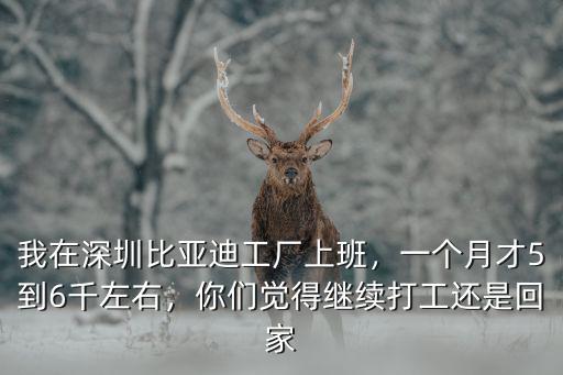 我在深圳比亞迪工廠上班，一個(gè)月才5到6千左右，你們覺(jué)得繼續(xù)打工還是回家